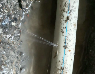 民权测漏水哪家好