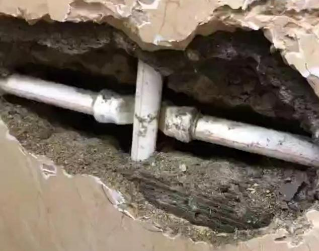 民权测漏水哪家好