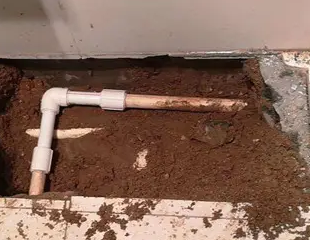 民权测漏水哪家好