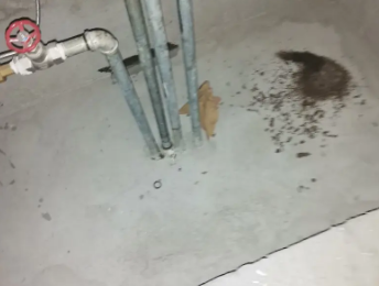 民权卫生间测漏水价格明细