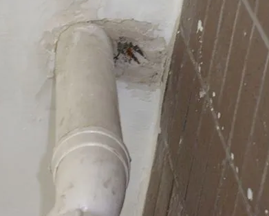 民权漏水检测哪家好